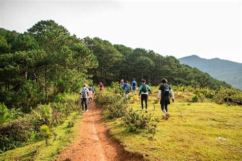 Group People Walking 的图像结果