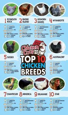 Image result for Chicken Fried Tutorial