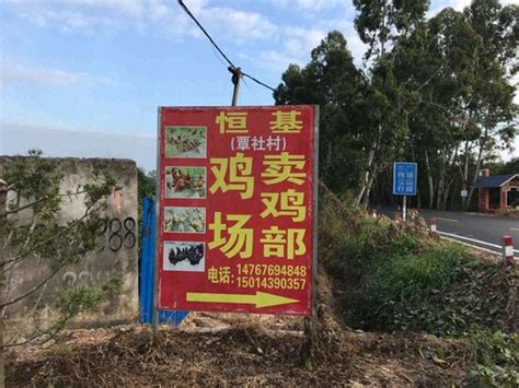 农民田间学校挂牌 助力实训基地建设-双柏县人民政府