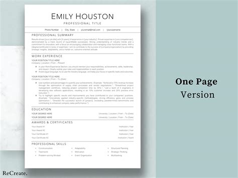 Resume Example 的图像结果