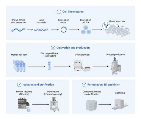 Scaling Up Production of Monoclonal Antibodies | BioRender Science ...