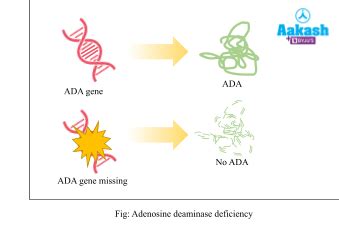 Gene Therapy Types, Genetically Engineered Insulin & Molecular ...