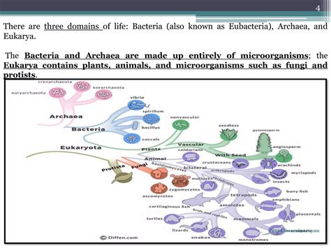 Classification three domain system | PDF