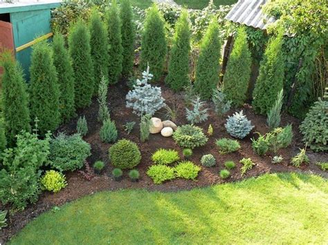 Privacy Landscaping Ideas Front Yard
