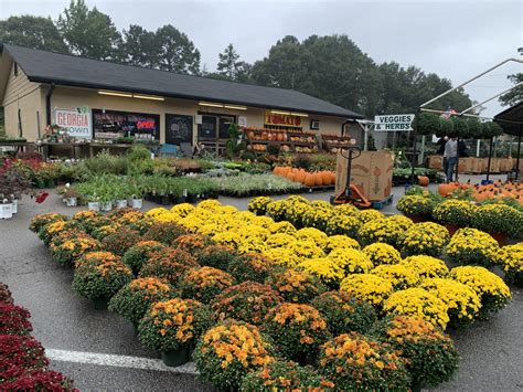 Plant Nursery Yonkers Ny at Rose Thyer blog