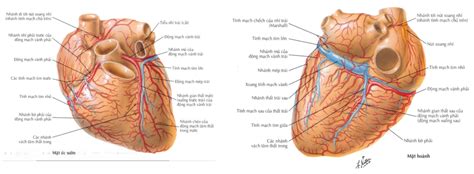 Image result for HTML Tutorial Exercise