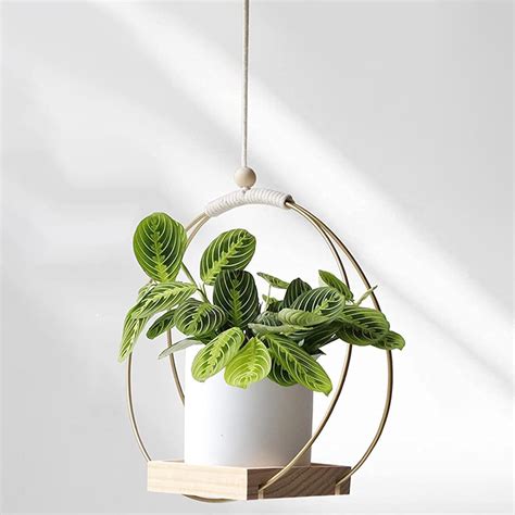 Amazon.com: BFYDOAA Plant Pot Hangers Indoor Hanging Plant Holder ...
