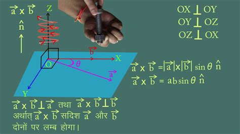 Image result for Vector Maths 12th Science