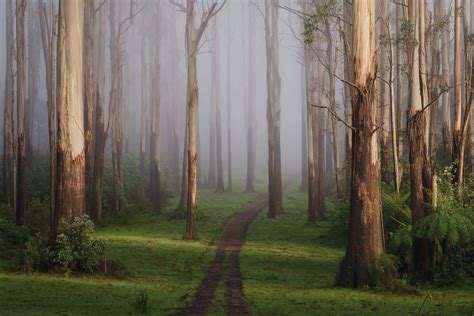 Nature Landscape Pictures 的图像结果