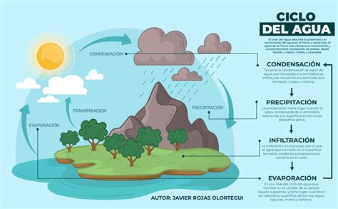 CICLO DEL AGUA | Ciclo del agua, Ciclo hidrologico, Ciclo del agua dibujo