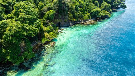 Natural Environment 的图像结果