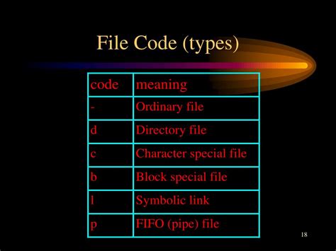 Image result for File Codeing