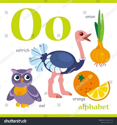 Alphabet Letter O Cartoon Vocabulary Illustration Stock Vector (Royalty Free) 2286417329 ...