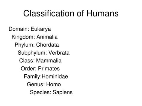 Human Classification Chart 的图像结果