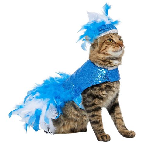 36 Best Cat Halloween Costumes for 2021 | Reader’s Digest