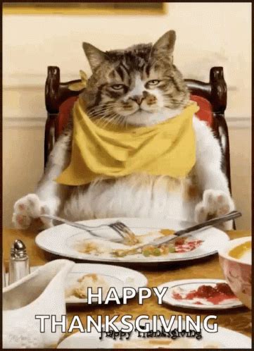 Thanksgiving Funny GIFs | GIFDB.com