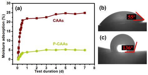 Hydrophobic Cellulose Acetate Aerogels for Thermal Insulation