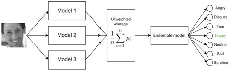 An Efficient Approach to Face Emotion Recognition with Convolutional ...