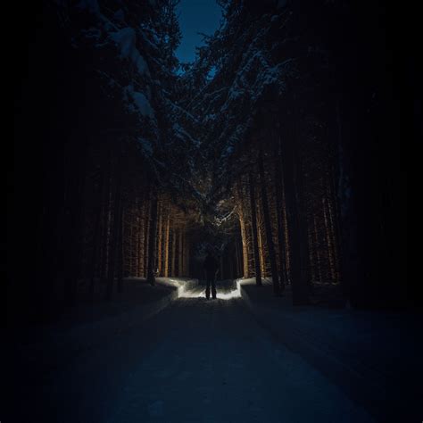 Download wallpaper 2780x2780 silhouette, forest, road, snow, trees ipad ...
