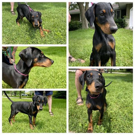 Chuck and Dons Woodbury, Chuck and Don's Pet Food & Supplies, Woodbury ...