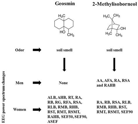 Gender Differences in Electroencephalographic Activity in Response to ...