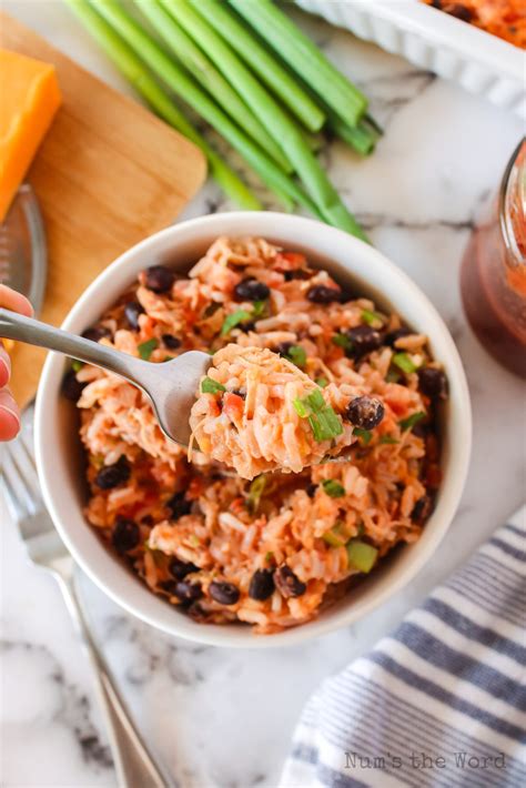 Salsa Chicken and Rice - Num's the Word