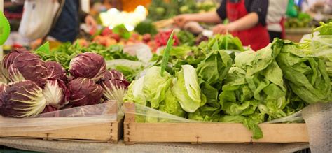 Source Local Farmers 的图像结果