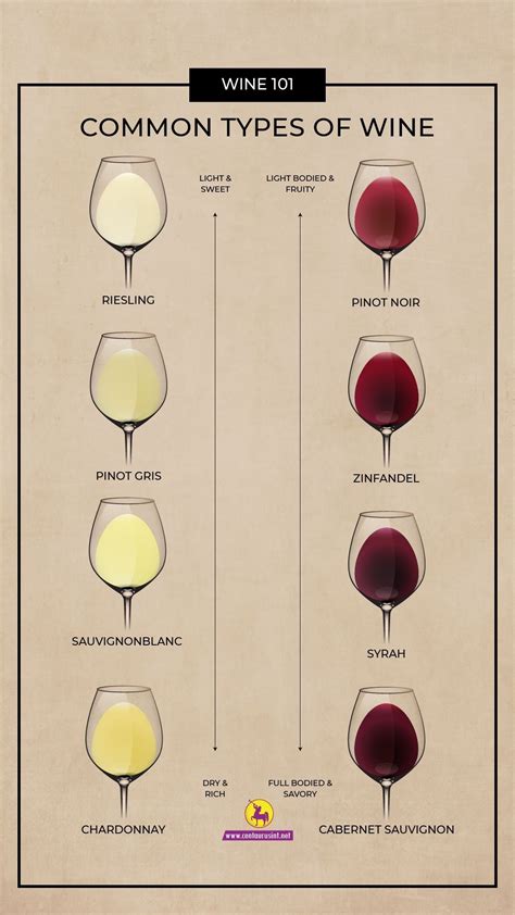 Wine 101 common types of wine – Artofit