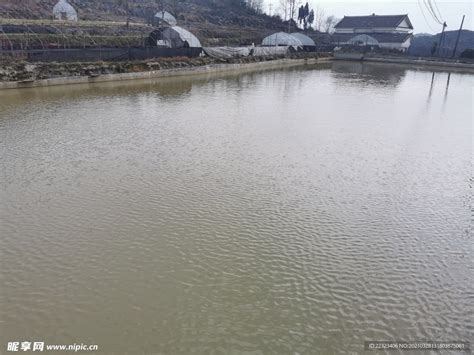 科学网—一种新型生态农业模式：湖州地区的竹基鱼塘 - 王栋的博文