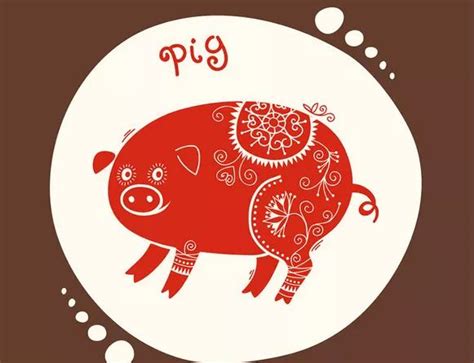2019猪年可爱卡通小猪图片表情包下载(2019猪年卡通壁纸) 高清版 - 数码资源网