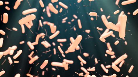 Microscopic Bacteria Cell 的图像结果