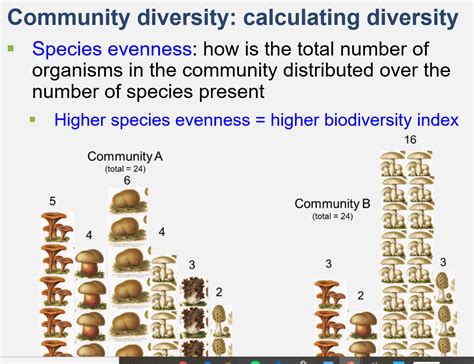 Answered: Community diversity: calculating diversity • Species evenness ...