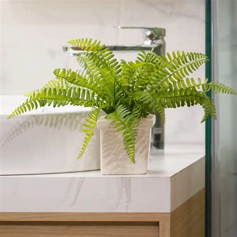 Laura Giraldo, experta en limpieza: “El agua oxigenada con lavaplatos y ...