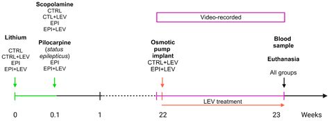 Effect of Levetiracetam on Oxidant–Antioxidant Activity during Long-Term Temporal Lobe Epilepsy ...