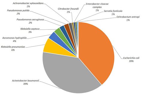 Frontiers | Multidrug-Resistant and Clinically Relevant Gram-Negative ...