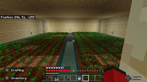 Will my crops grow underground? Realized this might be a problem a bit ...