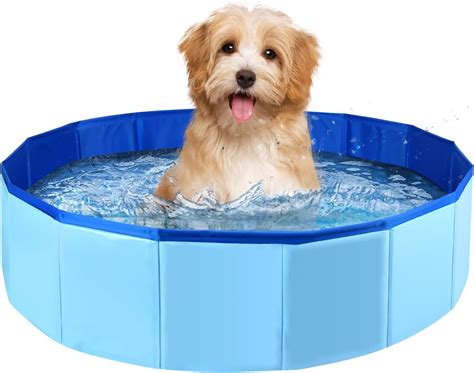 Amazon.com: Folding Dog Pool, Portable PVC Swimming Pool 24 x 8 Inch ...