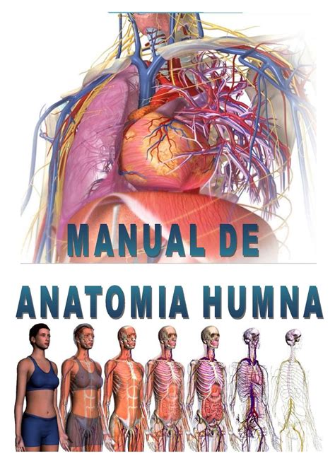 Calaméo - Manual de anatomia humana Edwin Ambulódegui