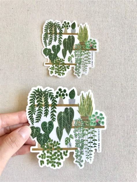 2/4/7PCS Clear Plants On Shelf Sticker, Anthurium Crystallinum, Plant ...