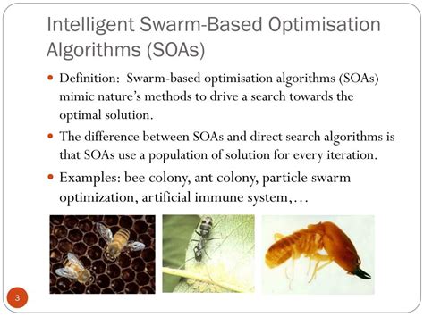 Image result for Artificial Bee Colony Algorithm Verilog Course Team
