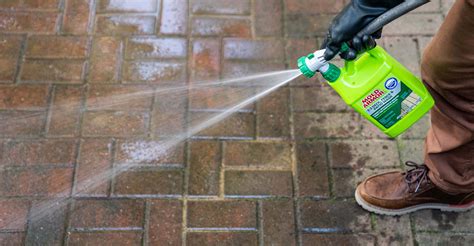 Mold Armor Test Kit - Mold Armor