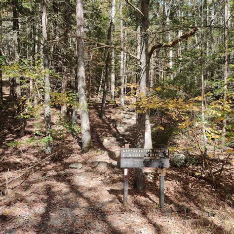 Caledonia State Park Camping | The Dyrt