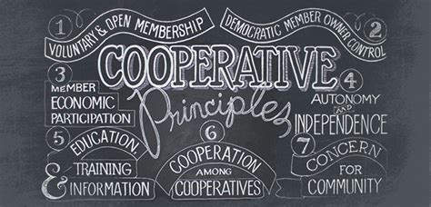 Principles of Cooperation 的图像结果