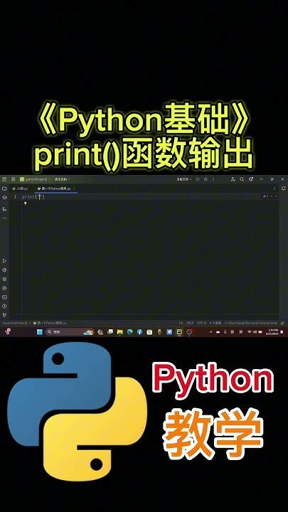 Python Print 的图像结果