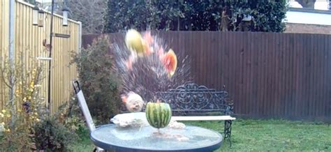 Exploding Watermelon Experiment