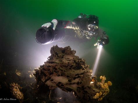 Image result for Project Spark Diving Tutorial