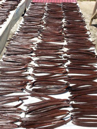 THE BEST Kinarut Beach Spa Resorts of 2023 (with Prices) - Tripadvisor