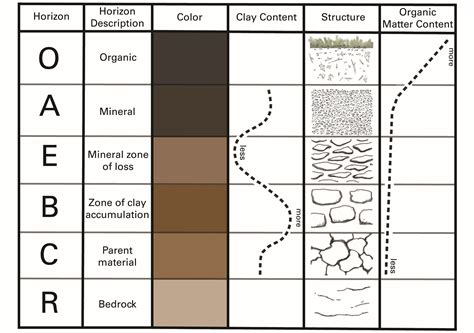 Soil Horizons Chart Soil Classification And Distribution – Digging