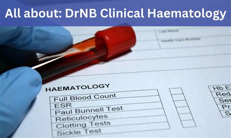 DrNB Clinical Haematology: Admissions, Medical Colleges, Fees ...