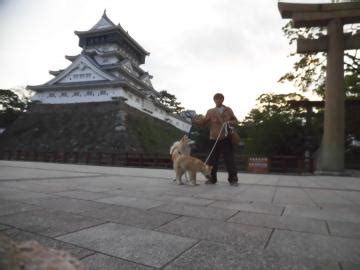 秋田犬と京都御所で - 気まぐれ紀州犬チロ